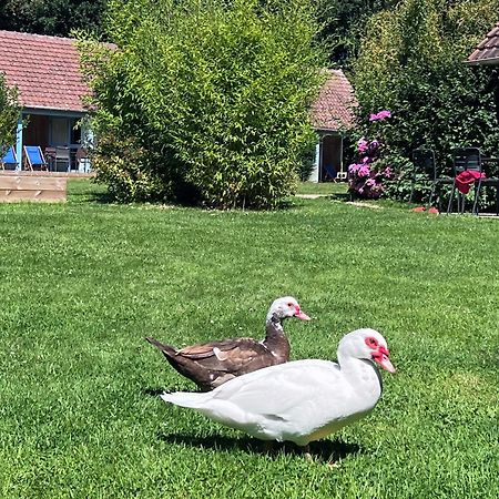 Le Pre Marin Villa Sotteville-sur-Mer Екстериор снимка