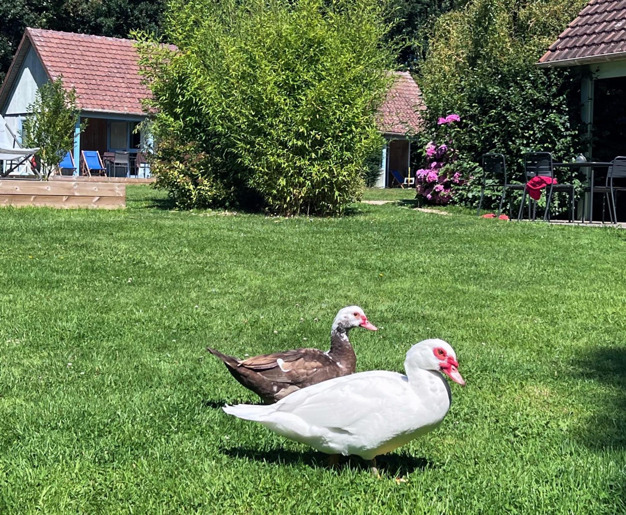 Le Pre Marin Villa Sotteville-sur-Mer Екстериор снимка